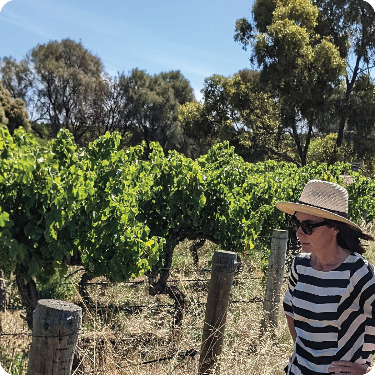About Grant Nash Wines